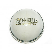 Gray- Nicolls Cricket Ball 4 part White (1227623965953)