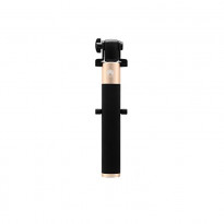 Black & Gold-swatch