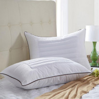 Buckwheat husk Pillows 1 PCS