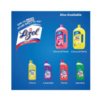 Lizol Floor Cleaner 