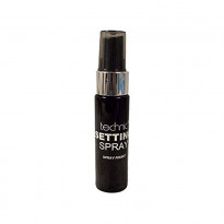 Technic Setting Spray 